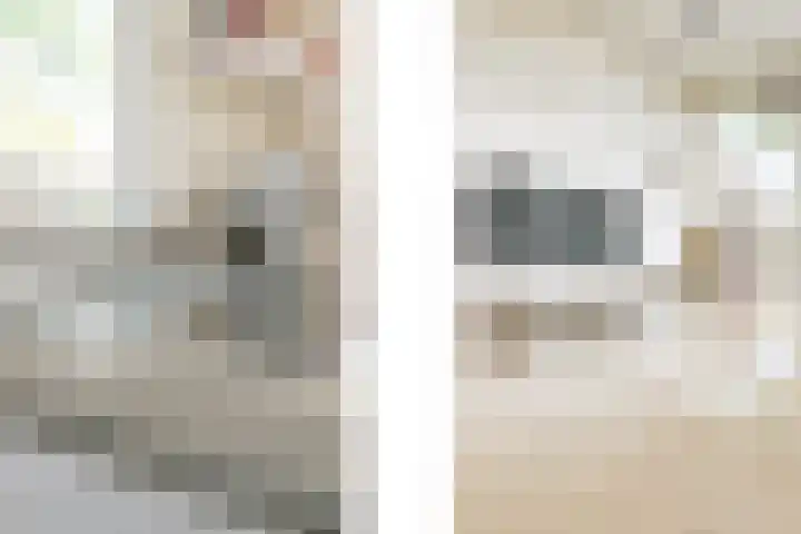 Kloosterberg 6 Bunde thumbnail 4