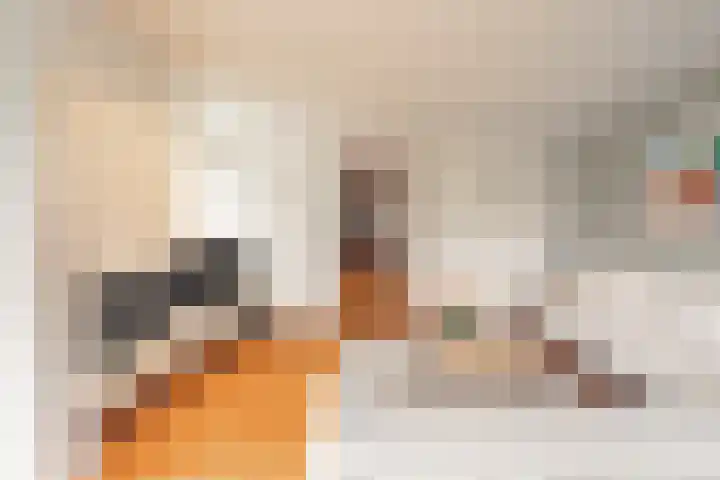 Kloosterberg 6 Bunde thumbnail 7