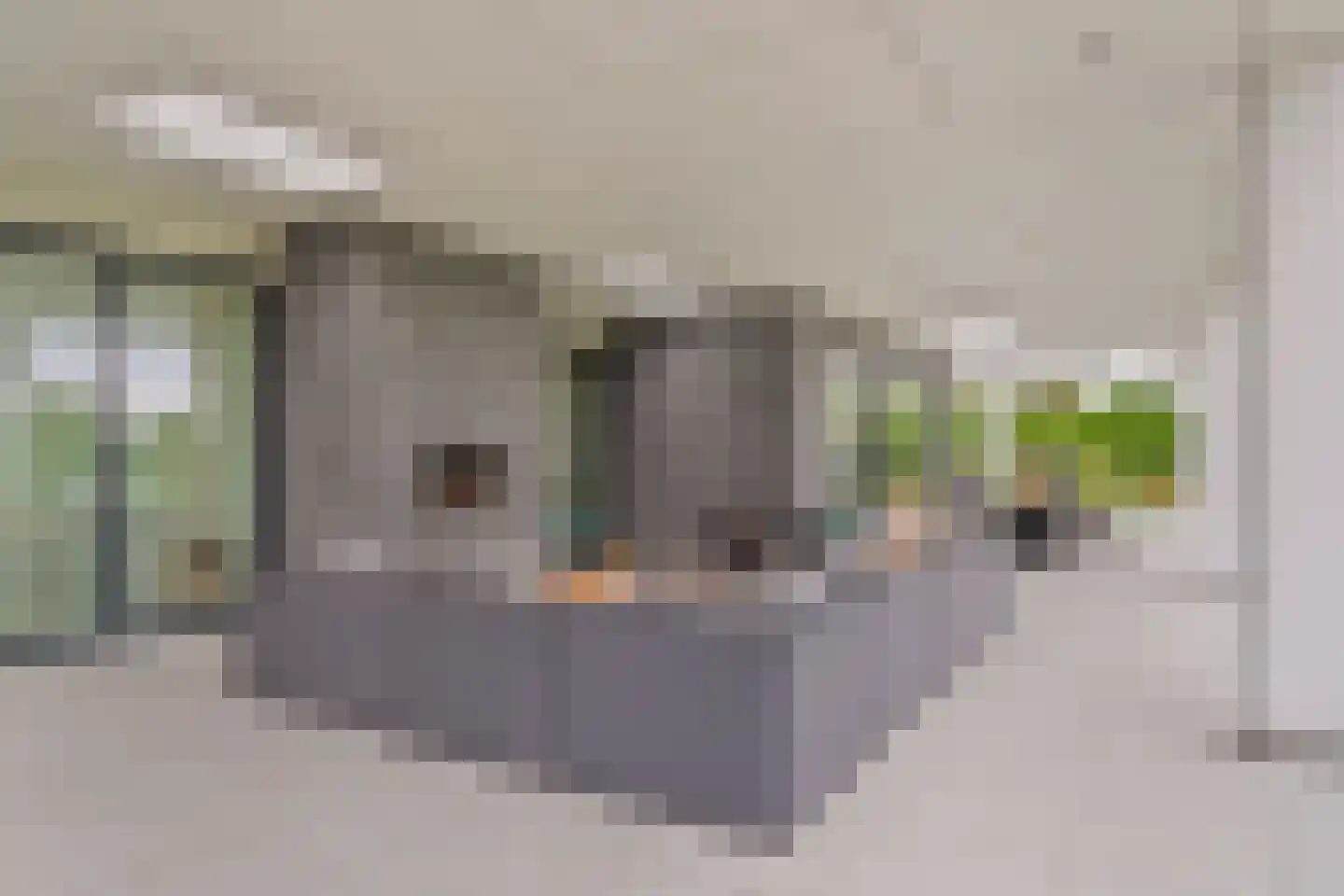 Kloosterbos 16 Almere thumbnail 54