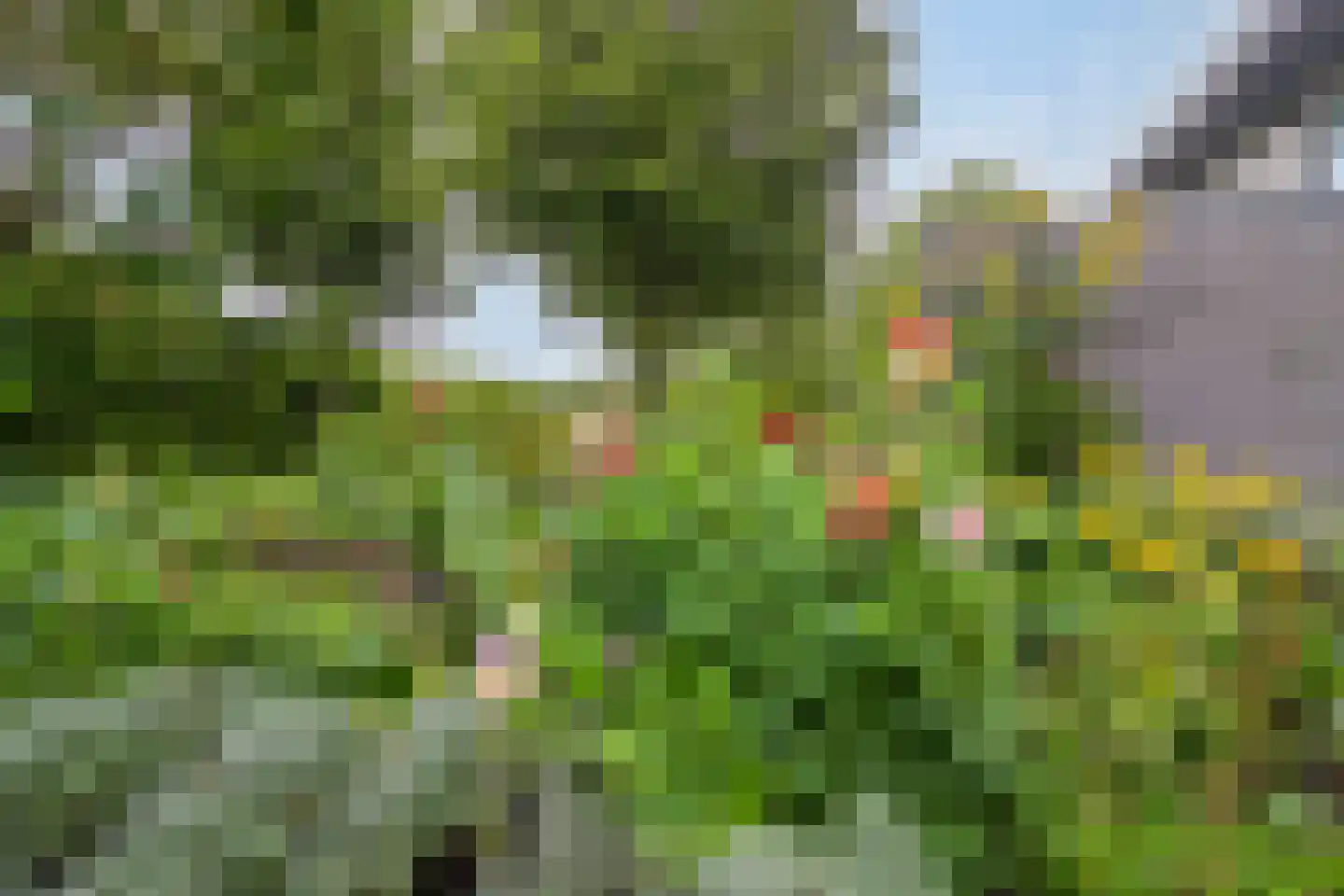 Kloosterbos 16 Almere thumbnail 59