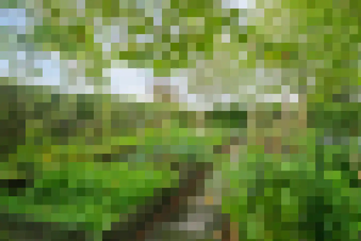 Kloosterbos 16 Almere thumbnail 60