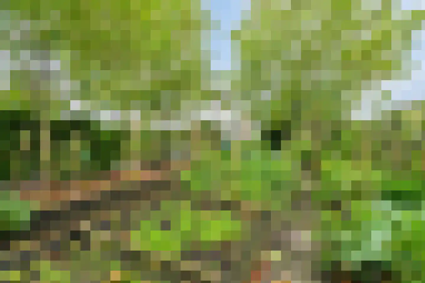 Kloosterbos 16 Almere thumbnail 61