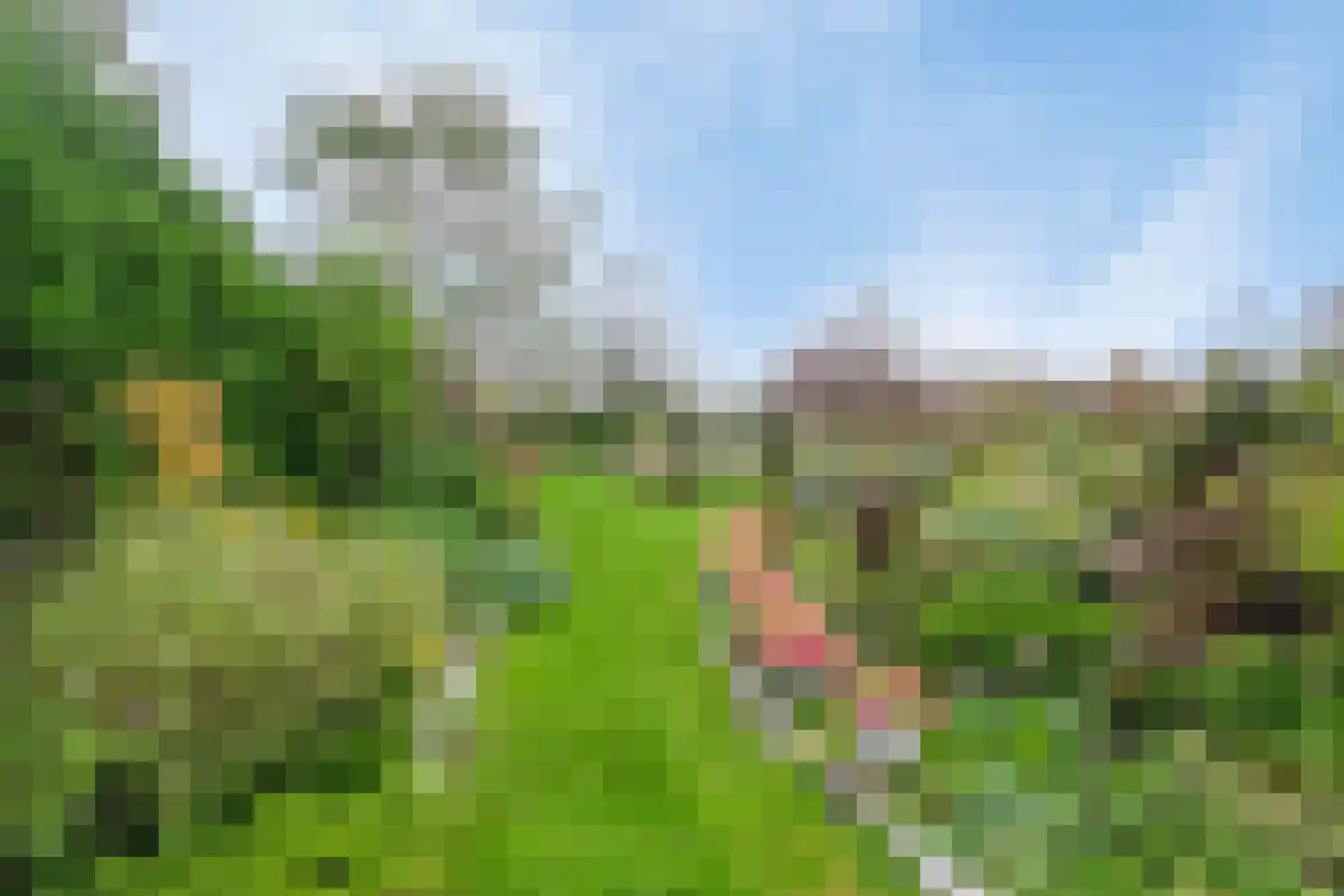 Kloosterbos 16 Almere thumbnail 62