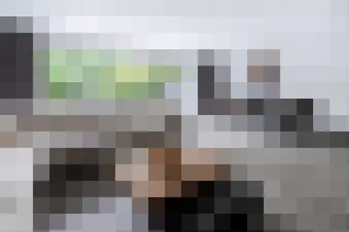 Kloosterbosch 16 Maastricht thumbnail 12