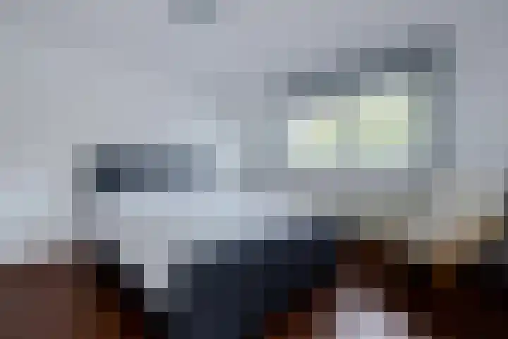 Kloosterbosch 16 Maastricht thumbnail 22