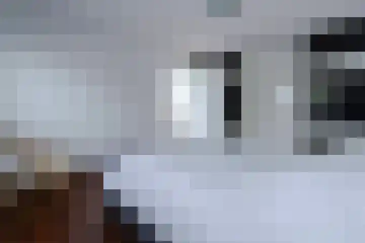 Kloosterbosch 16 Maastricht thumbnail 23
