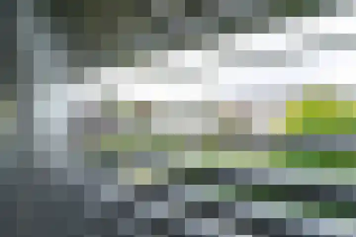 Kloosterbosch 16 Maastricht thumbnail 36