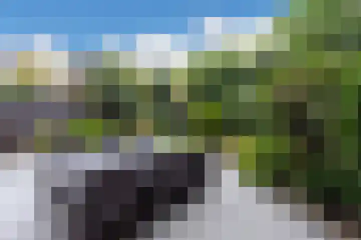 Kloosterbosch 16 Maastricht thumbnail 37