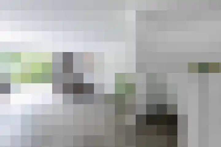 Kloosterbosch 16 Maastricht thumbnail 6