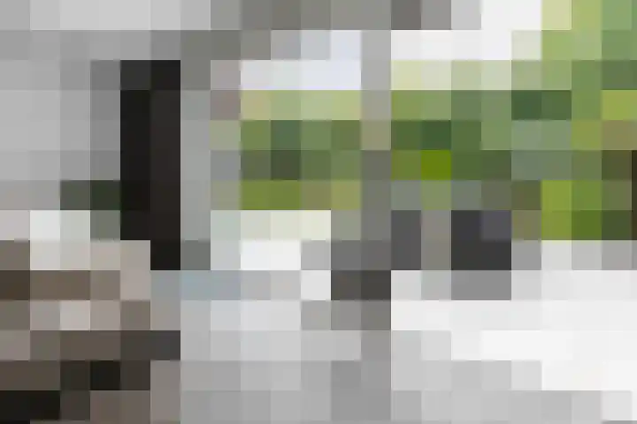 Kloosterbosch 16 Maastricht thumbnail 9