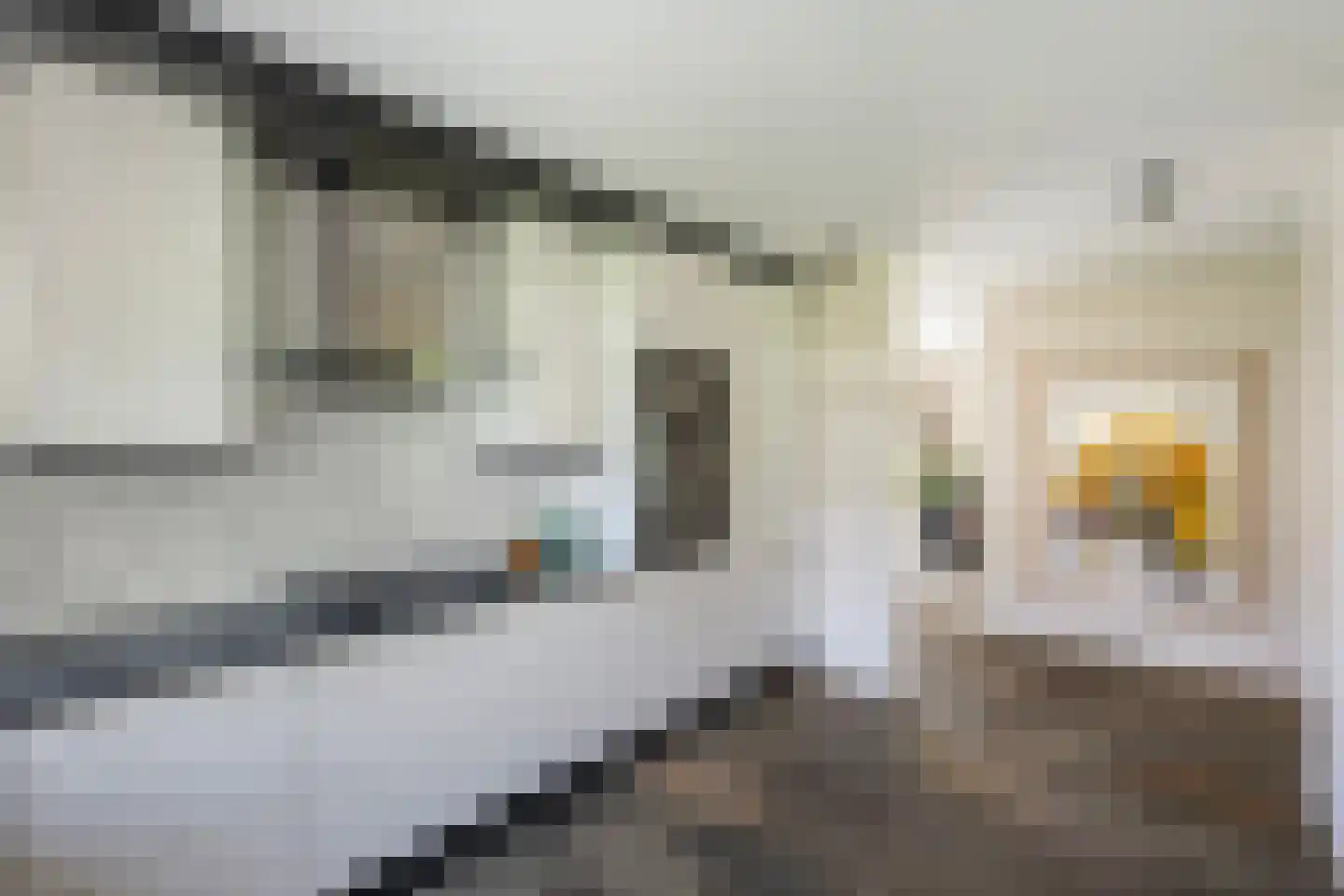Kloosterbrink 17 Zwolle thumbnail 22