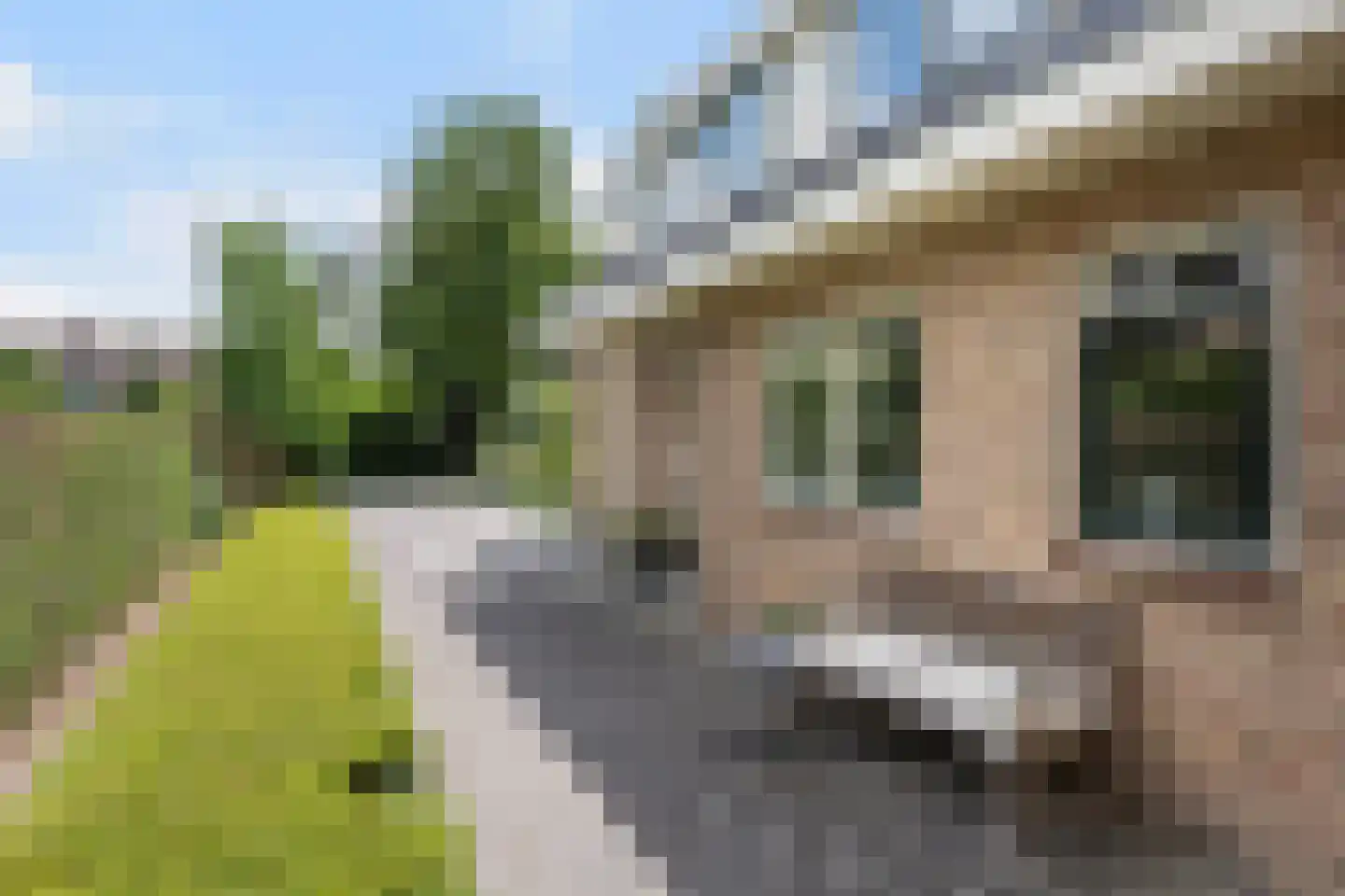 Kloosterbrink 17 Zwolle thumbnail 24
