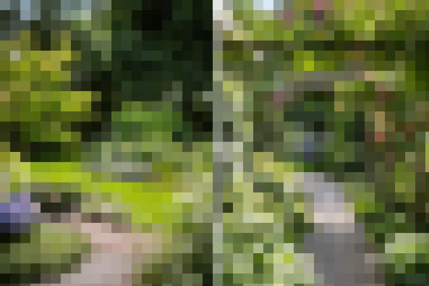 Kloosterbrink 17 Zwolle thumbnail 25