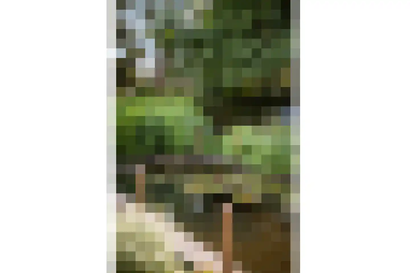 Kloosterbrink 17 Zwolle thumbnail 30