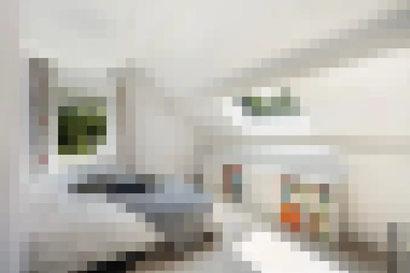 Kloosterbrink 17 Zwolle thumbnail 36