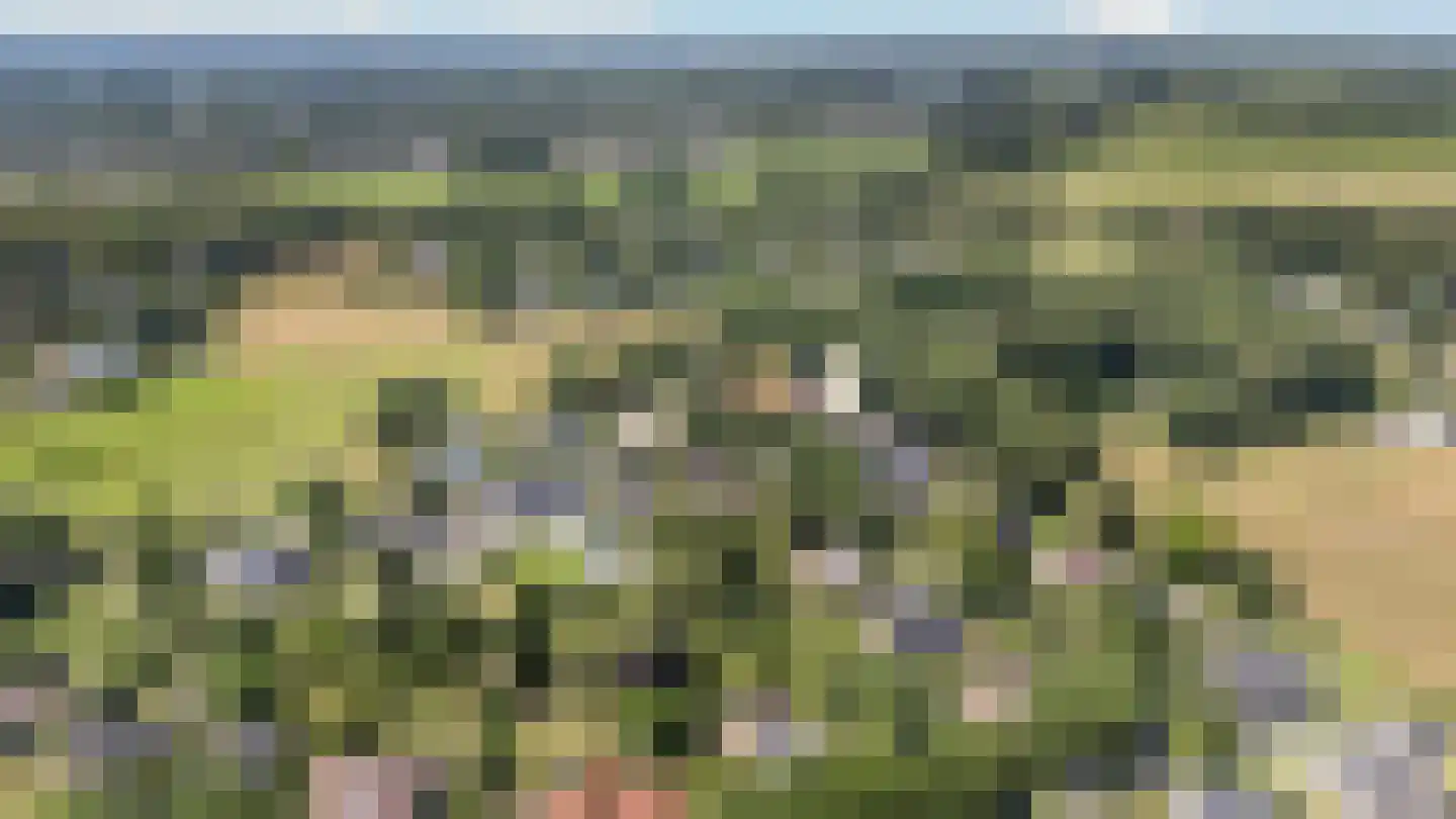 Kloosterbrink 17 Zwolle thumbnail 47