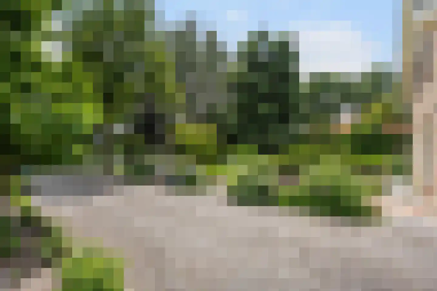 Kloosterbrink 17 Zwolle thumbnail 5