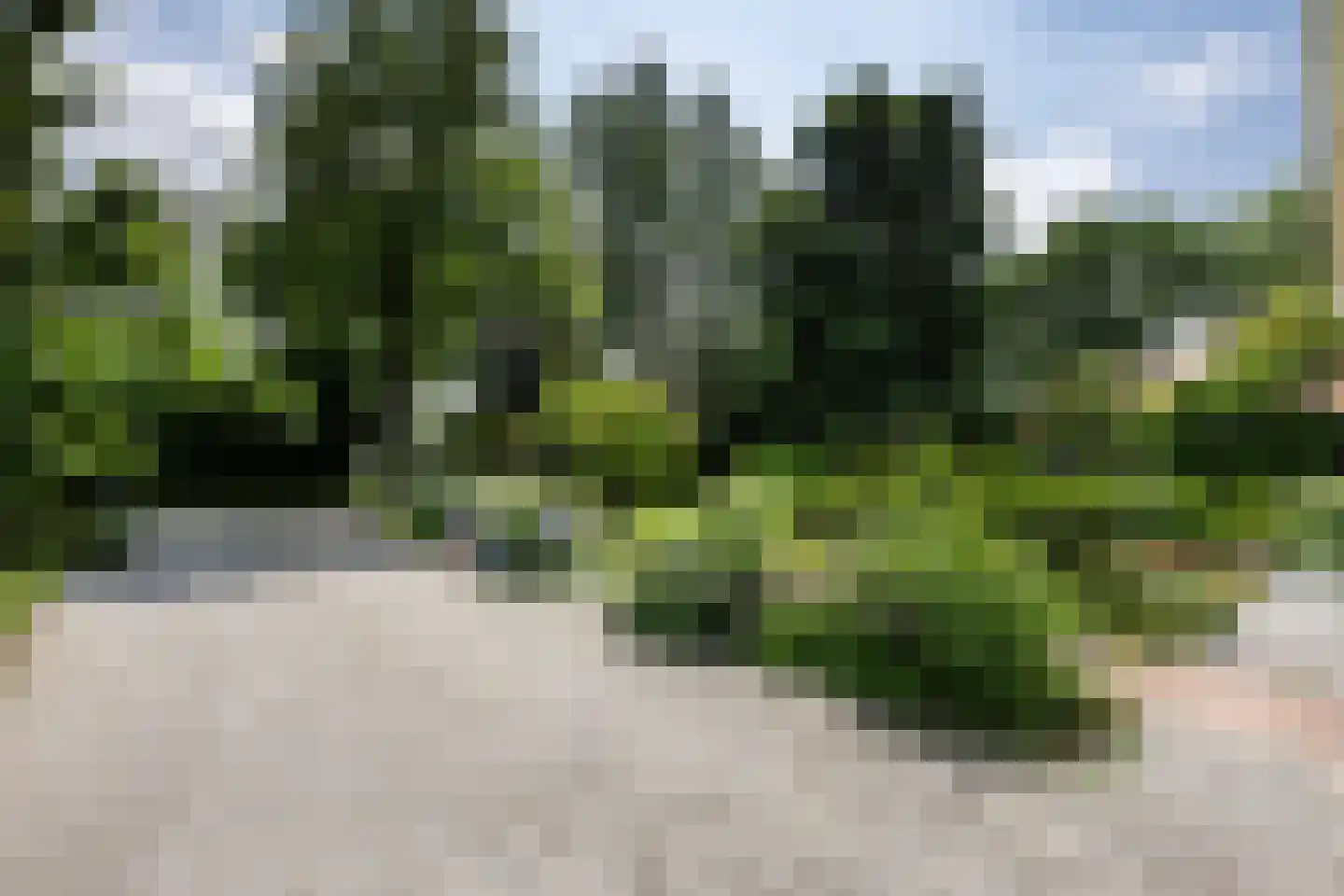 Kloosterbrink 17 Zwolle thumbnail 6