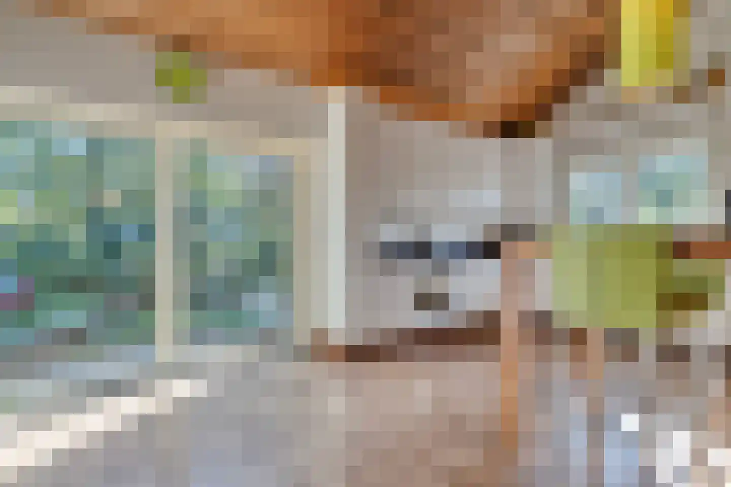 Kloosterbrink 45 Zwolle thumbnail 24