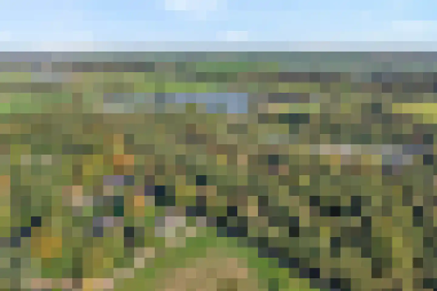 Kloosterbrink 45 Zwolle thumbnail 4