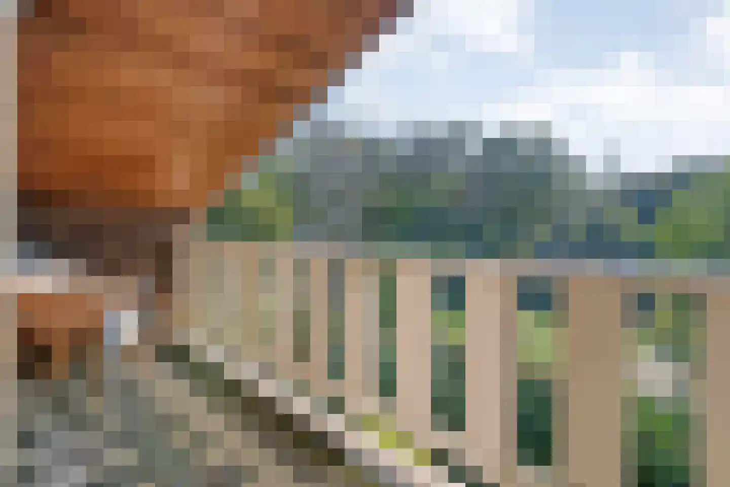 Kloosterbrink 45 Zwolle thumbnail 66