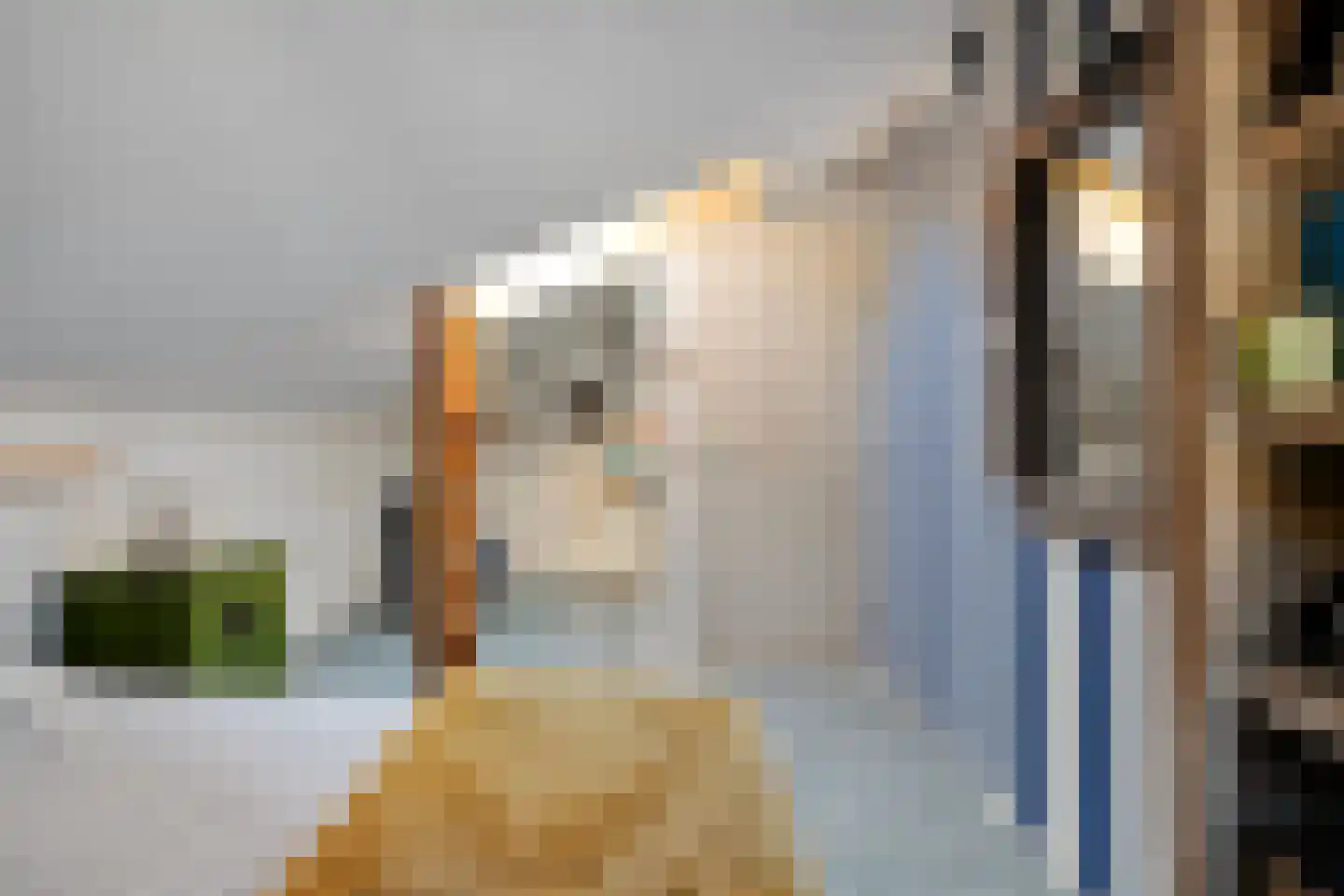 Kloosterbrink 45 Zwolle thumbnail 72