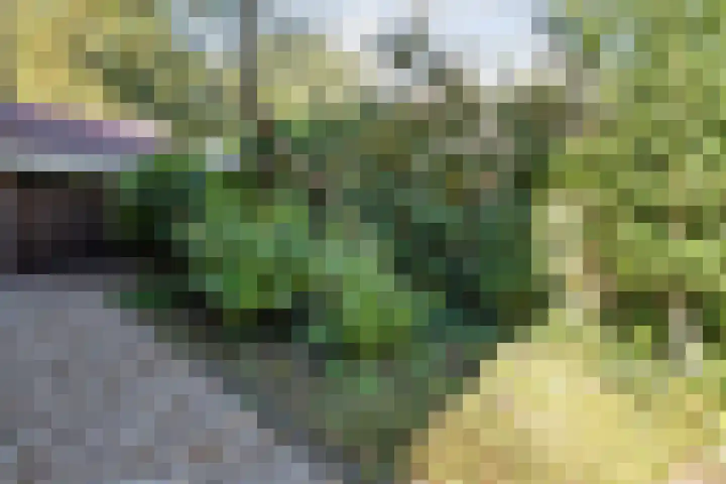 Kloosterbrink 45 Zwolle thumbnail 77