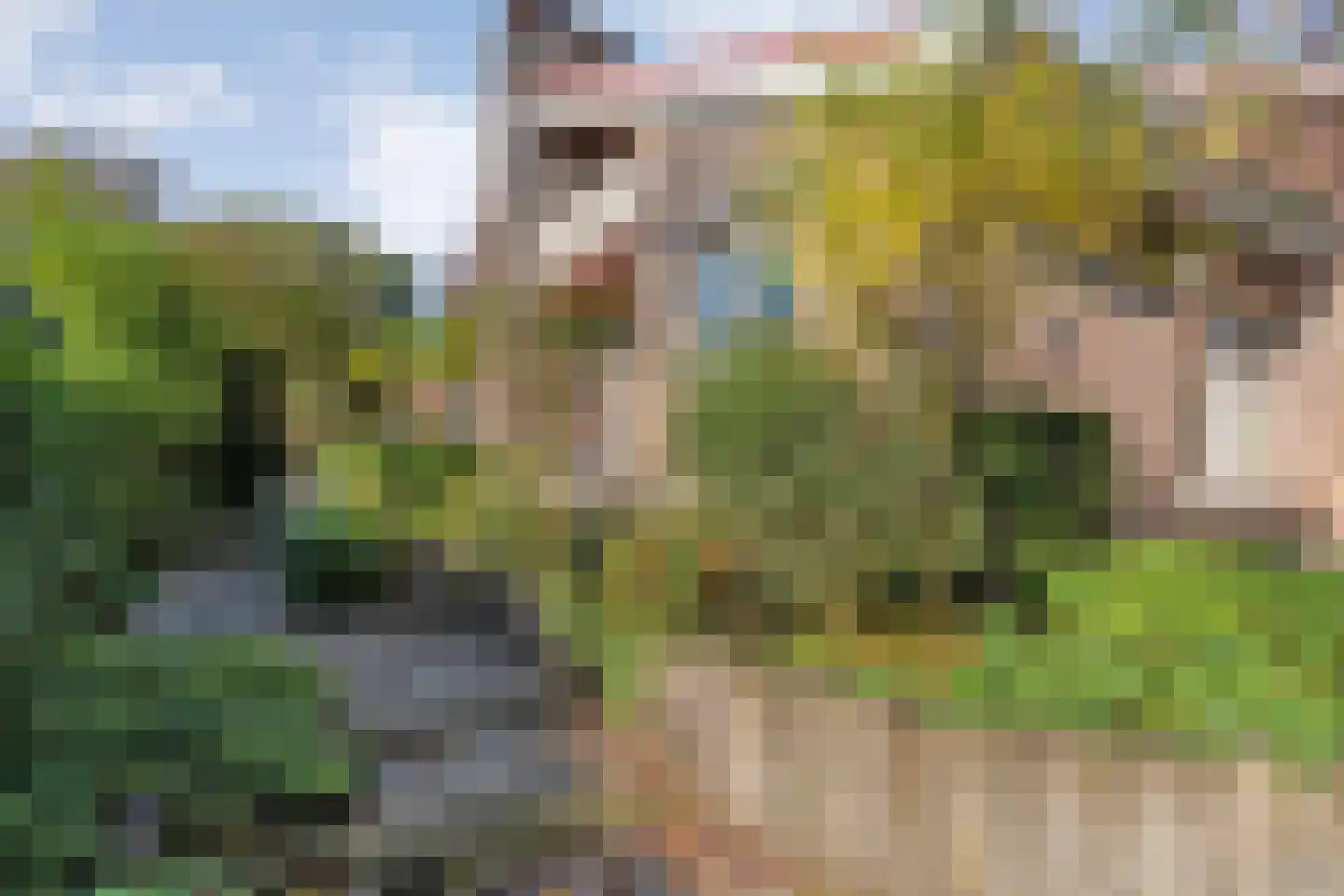 Kloosterbrink 45 Zwolle thumbnail 83