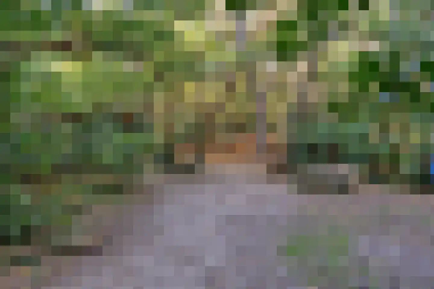 Kloosterbrink 45 Zwolle thumbnail 91