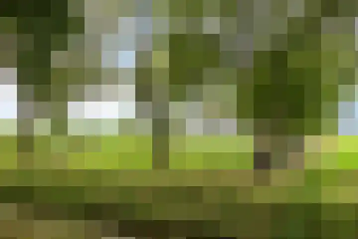 Kloosterdijk 116 Beerzerveld thumbnail 10