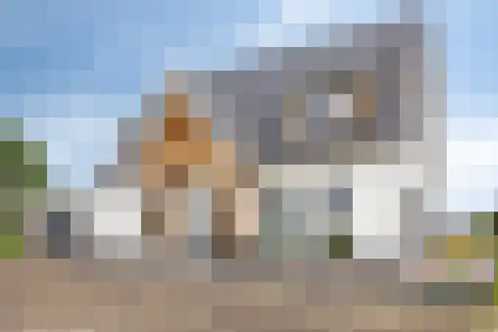 Kloosterdijk 116 Beerzerveld thumbnail 11