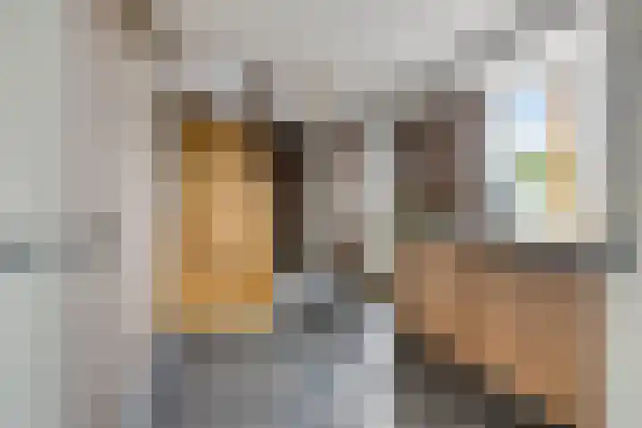 Kloosterdijk 116 Beerzerveld thumbnail 16
