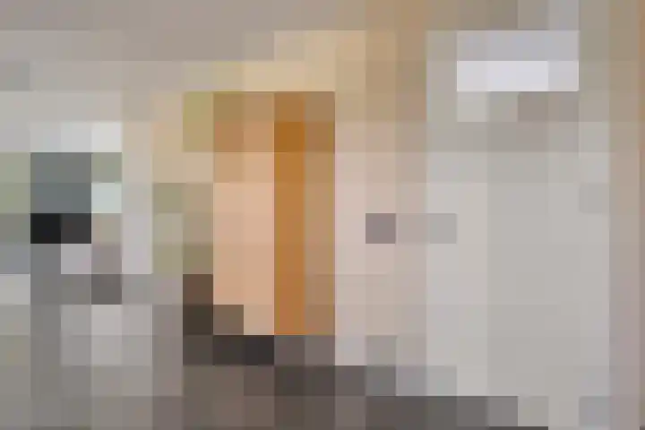 Kloosterdijk 116 Beerzerveld thumbnail 19