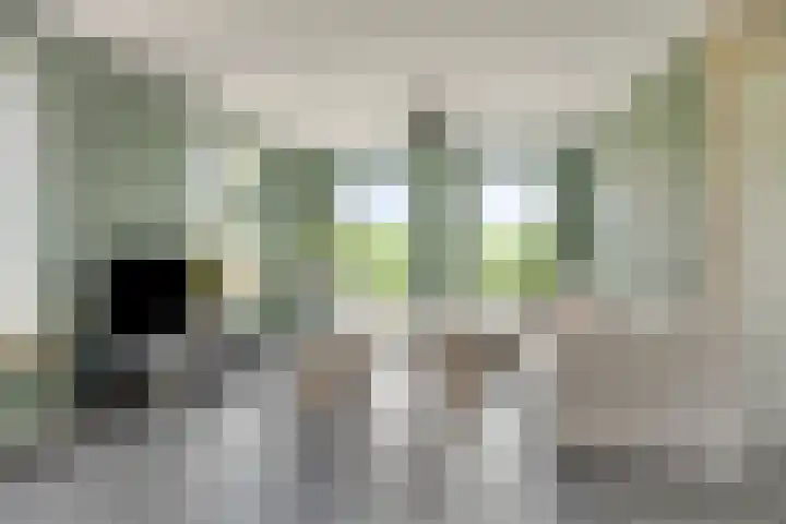 Kloosterdijk 116 Beerzerveld thumbnail 22