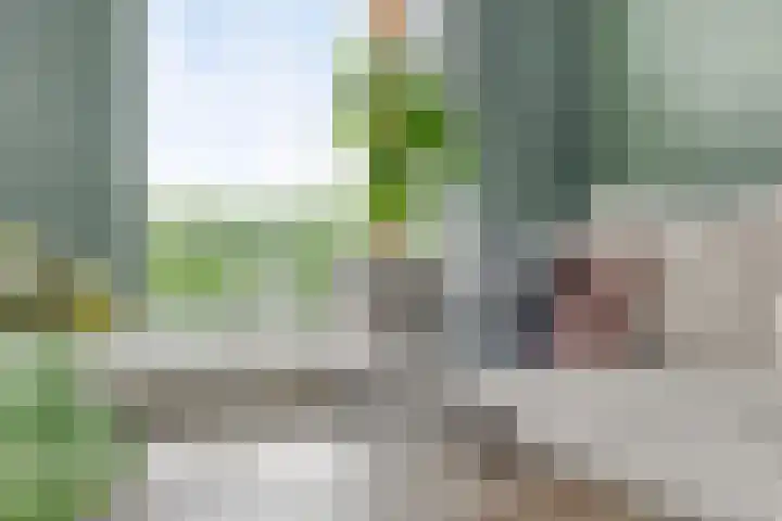 Kloosterdijk 116 Beerzerveld thumbnail 24