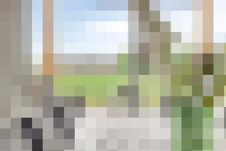 Kloosterdijk 116 Beerzerveld thumbnail 31