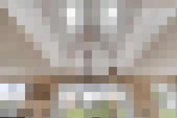 Kloosterdijk 116 Beerzerveld thumbnail 34