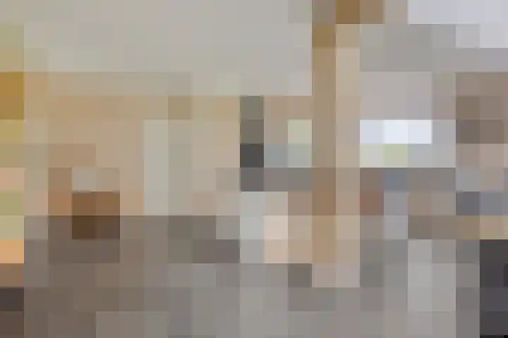Kloosterdijk 116 Beerzerveld thumbnail 37