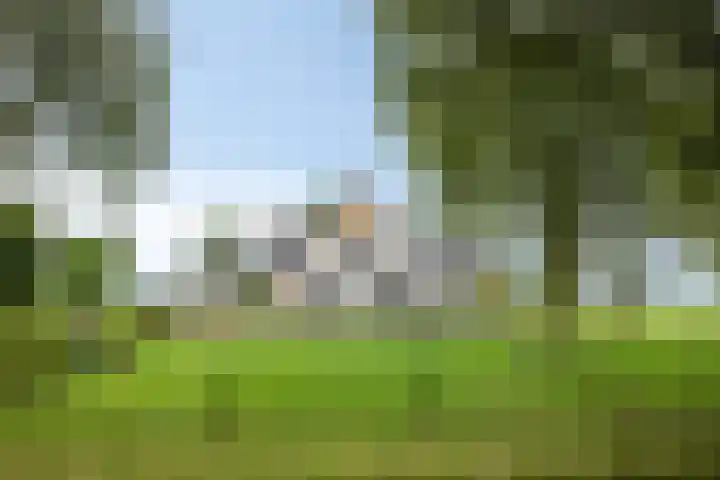 Kloosterdijk 116 Beerzerveld thumbnail 4