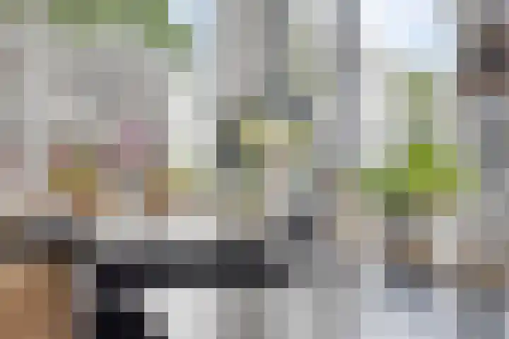 Kloosterdijk 116 Beerzerveld thumbnail 44