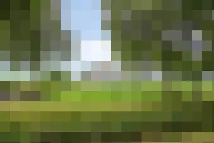 Kloosterdijk 116 Beerzerveld thumbnail 5