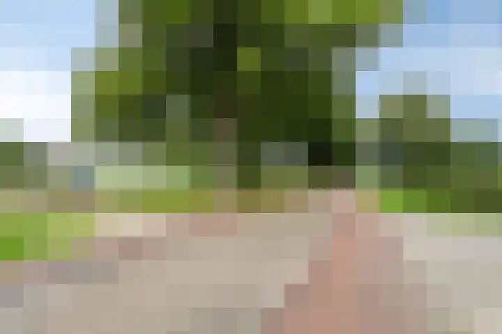 Kloosterdijk 116 Beerzerveld thumbnail 6