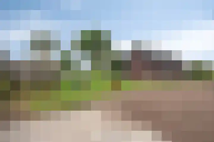 Kloosterdijk 116 Beerzerveld thumbnail 61