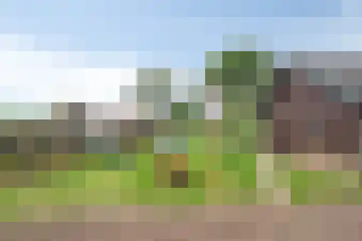 Kloosterdijk 116 Beerzerveld thumbnail 62