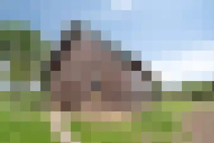 Kloosterdijk 116 Beerzerveld thumbnail 63