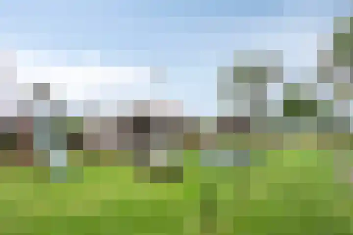 Kloosterdijk 116 Beerzerveld thumbnail 64