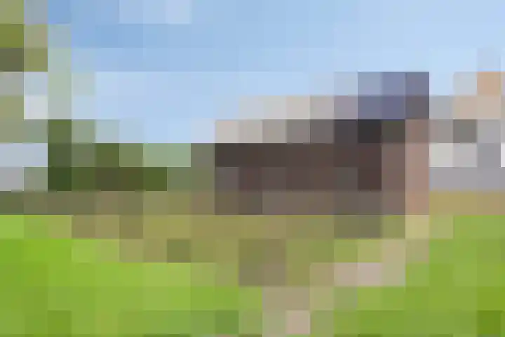 Kloosterdijk 116 Beerzerveld thumbnail 66