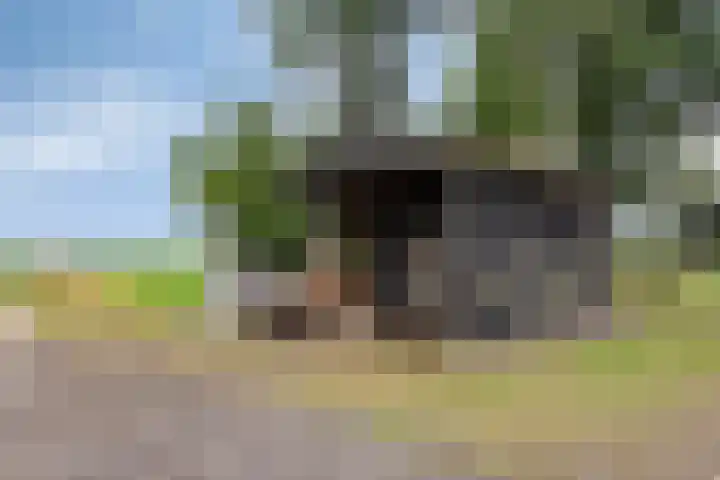 Kloosterdijk 116 Beerzerveld thumbnail 67