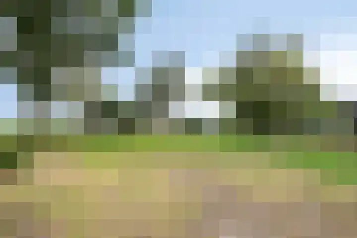 Kloosterdijk 116 Beerzerveld thumbnail 68