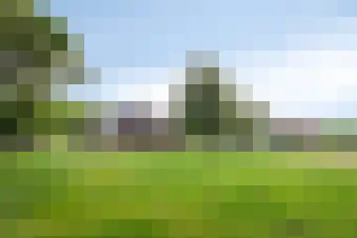 Kloosterdijk 116 Beerzerveld thumbnail 69
